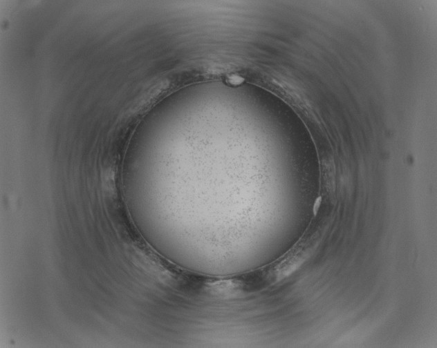 X0000074260269200609081743