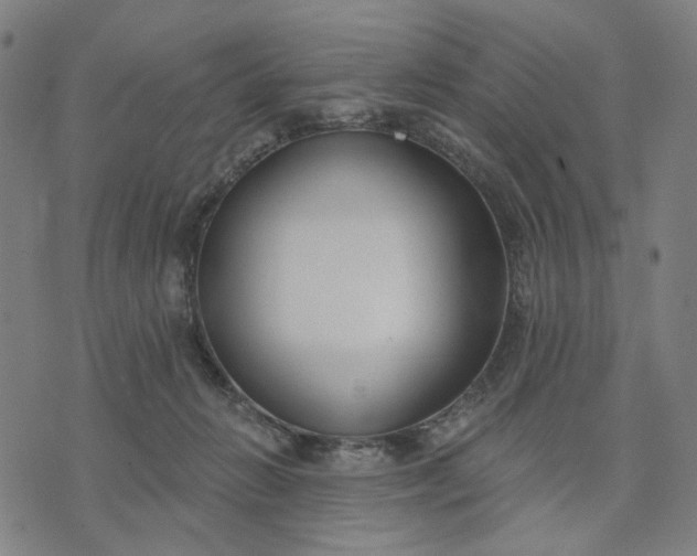 X0000074260270200609081743