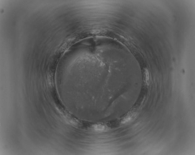 X0000074260272200609081744