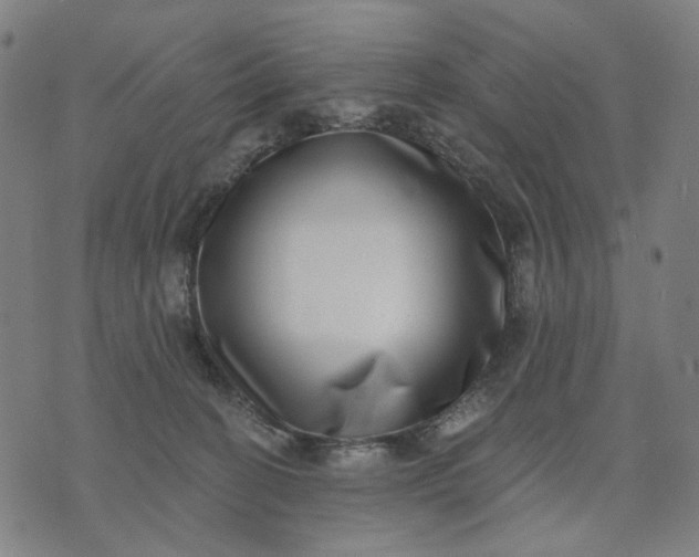 X0000074260274200609081744