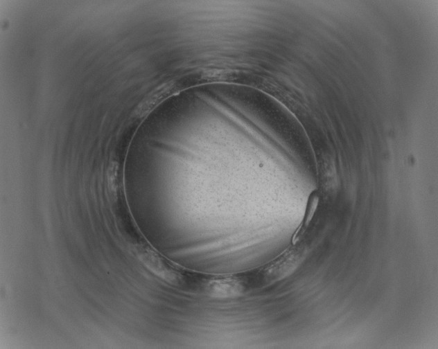 X0000074260275200609081744