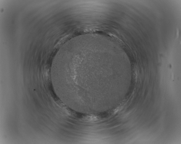 X0000074260276200609081744