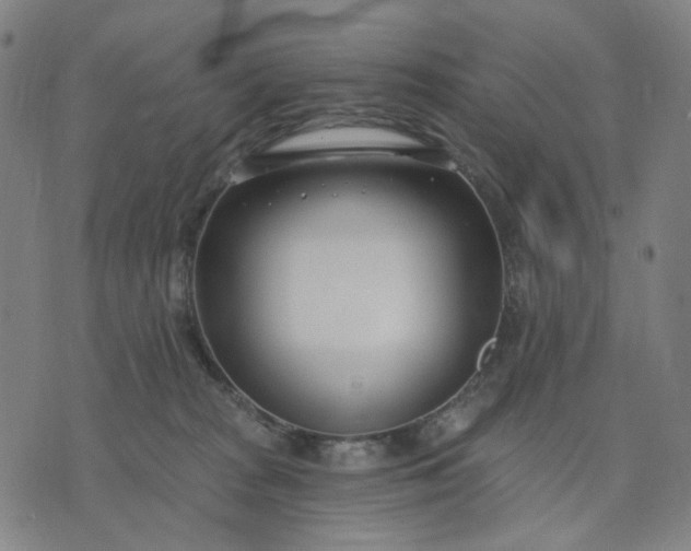 X0000074260277200609081744