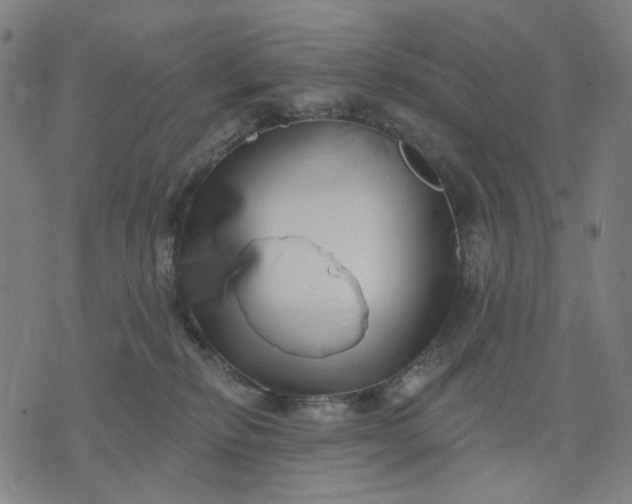 X0000074260278200609081744