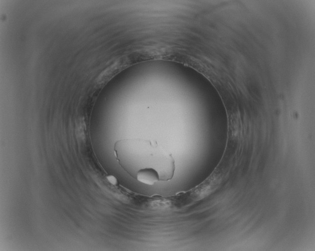 X0000074260279200609081744