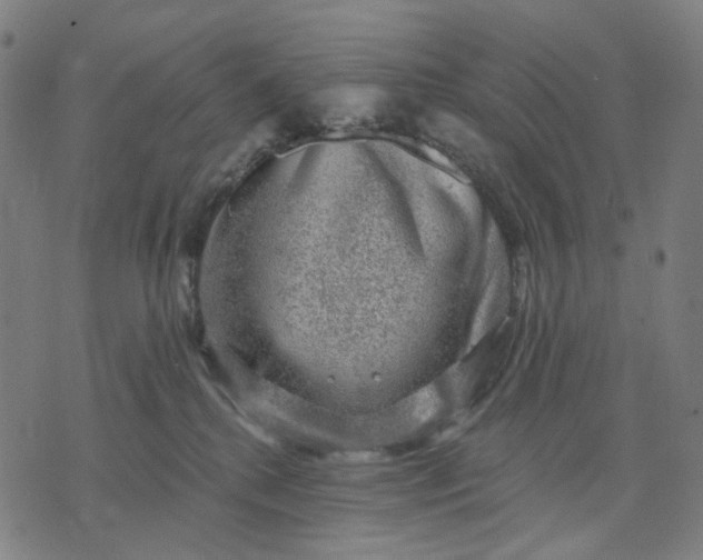 X0000074260280200609081744