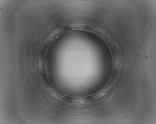 X0000074260282200609081744