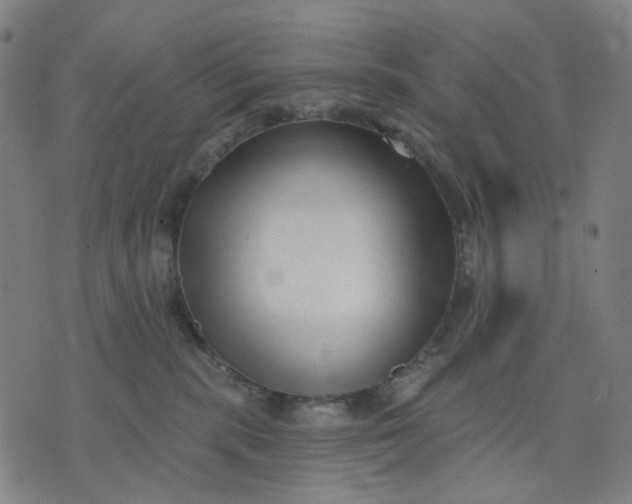 X0000074260283200609081744