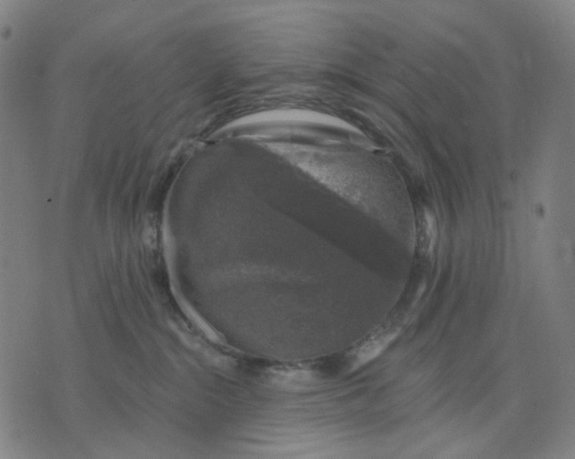 X0000074260284200609081744