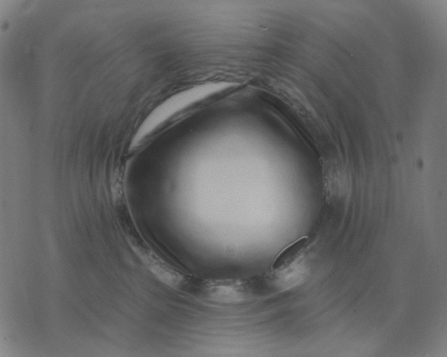 X0000074260285200609081744