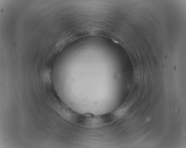 X0000074260286200609081744