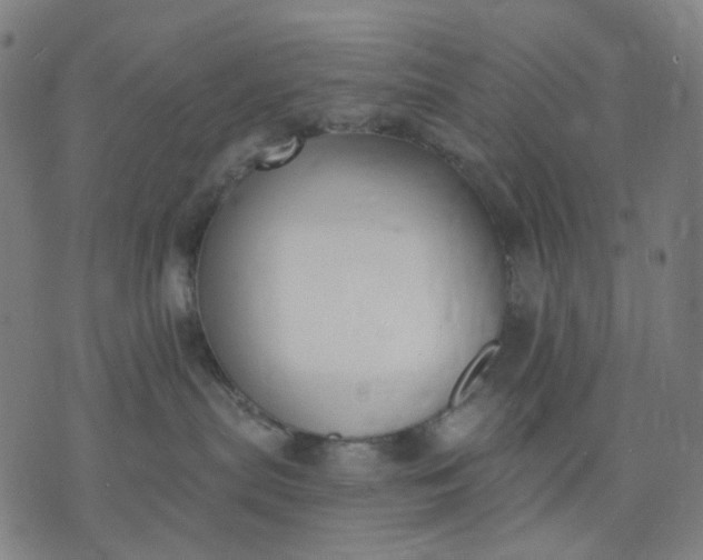 X0000074260287200609081744