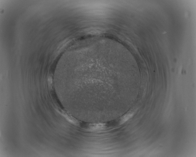 X0000074260288200609081744