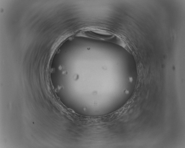 X0000074260289200609081743