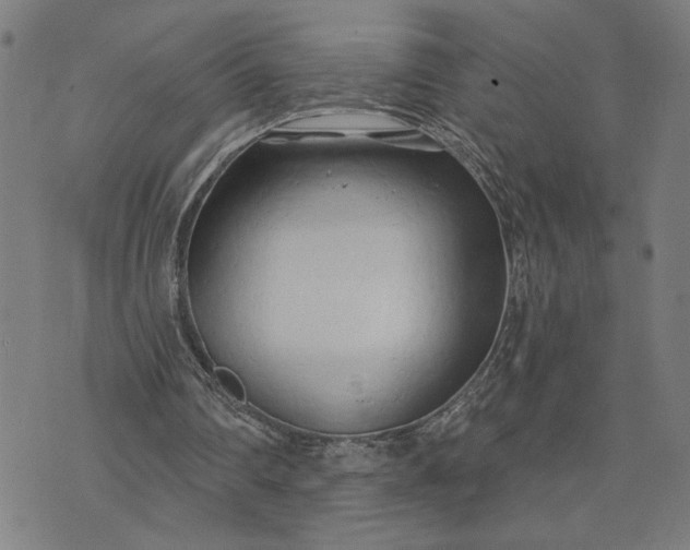 X0000074260290200609081743