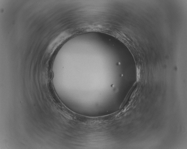 X0000074260291200609081743