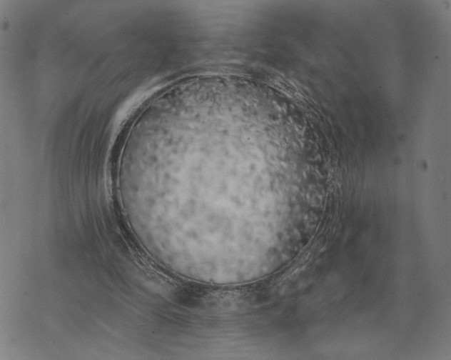 X0000074260294200609081743