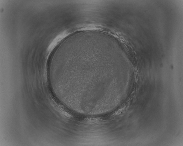 X0000074260296200609081743