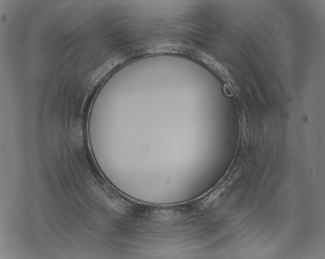 X0000074260298200609081743