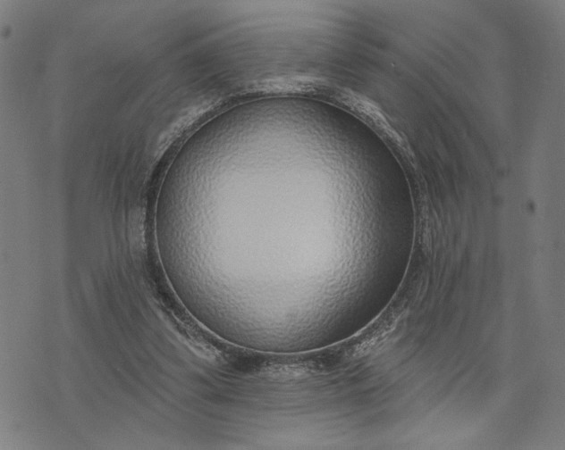 X0000074260299200609081743