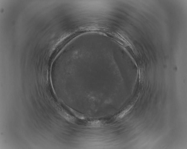 X0000074260301200609081743