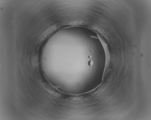 X0000074260303200609081743