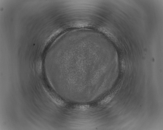 X0000074260304200609081743