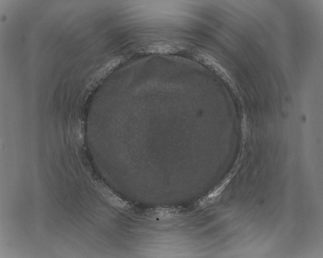 X0000074260305200609081743