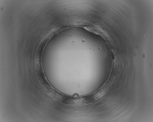 X0000074260306200609081743