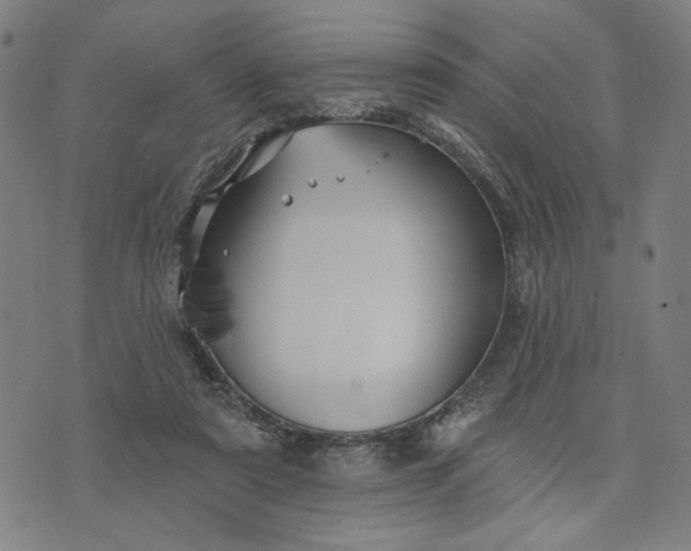 X0000074260307200609081743