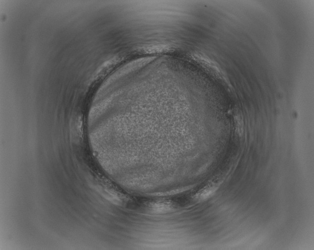 X0000074260308200609081743