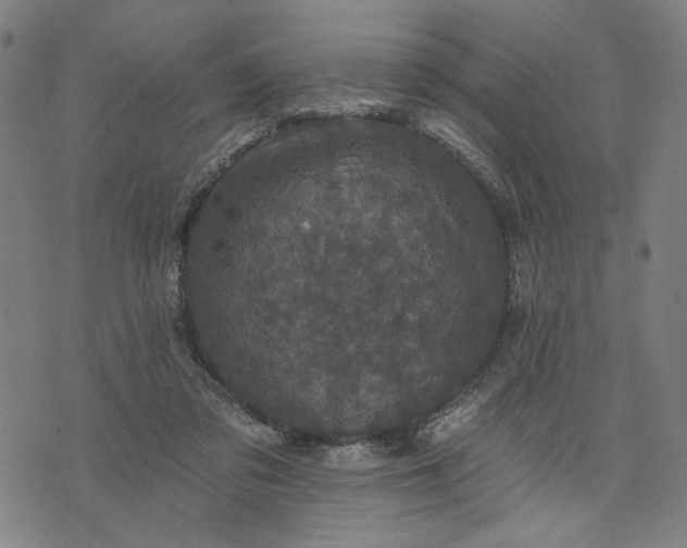 X0000074260309200609081743