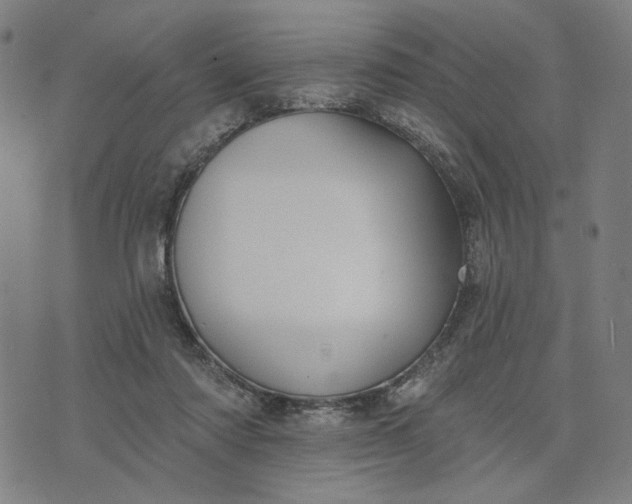 X0000074260310200609081743