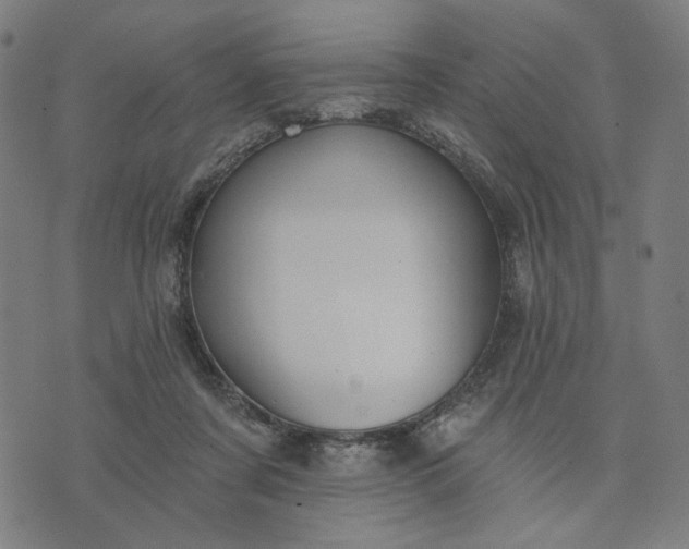 X0000074260311200609081743