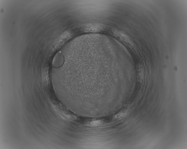 X0000074260312200609081743