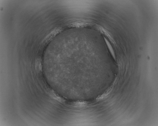 X0000074260313200609081743