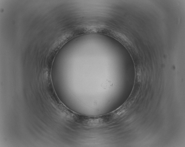 X0000074260314200609081743