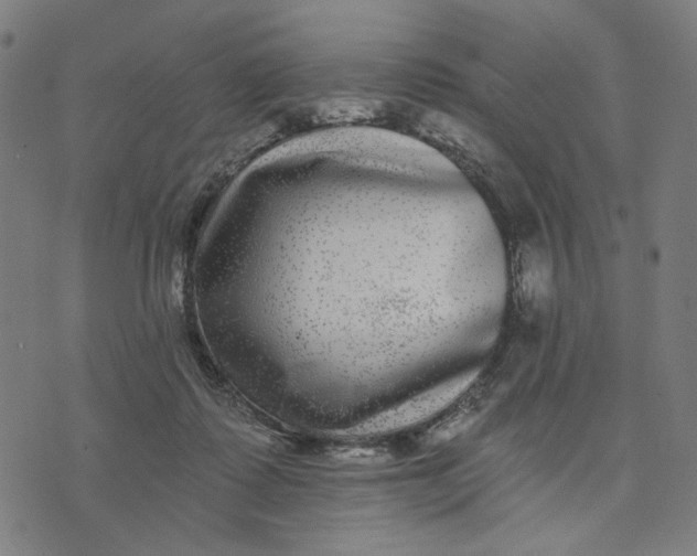 X0000074260315200609081743