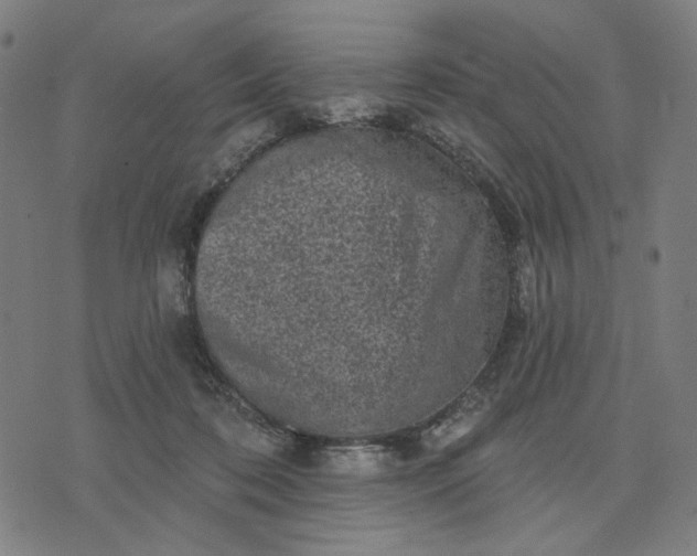 X0000074260316200609081743