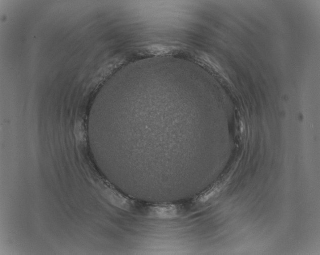 X0000074260317200609081743