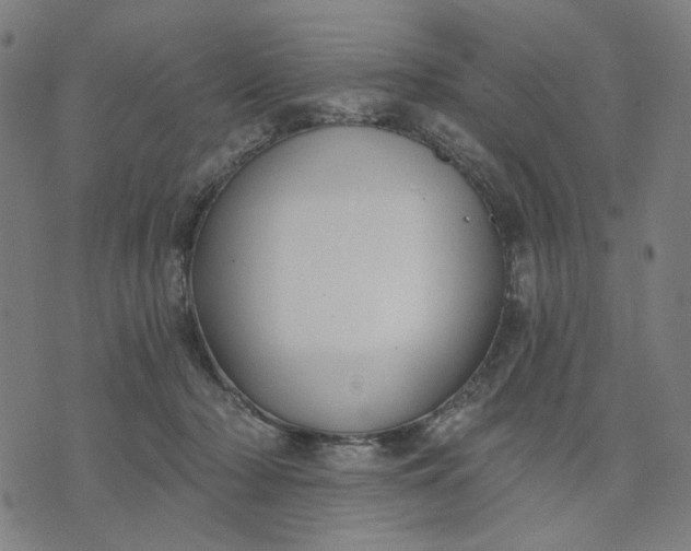 X0000074260318200609081743