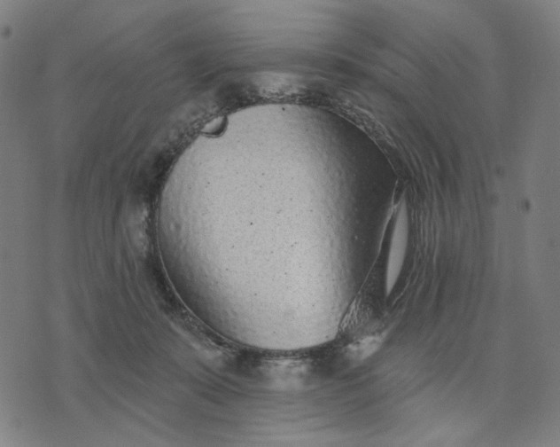 X0000074260319200609081743