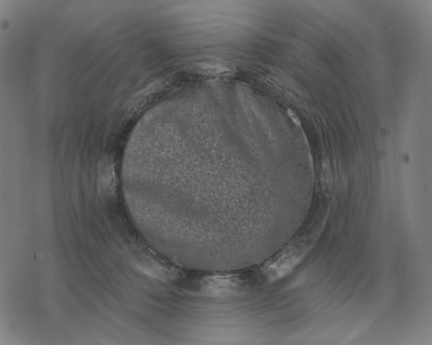 X0000074260320200609081742