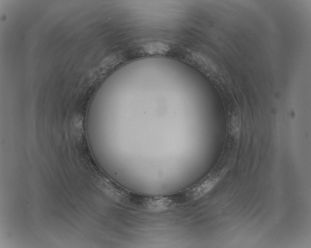 X0000074260321200609081742