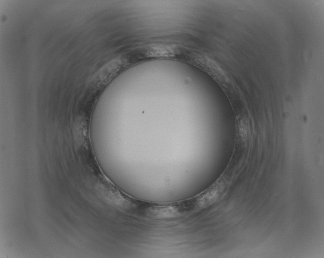 X0000074260322200609081742