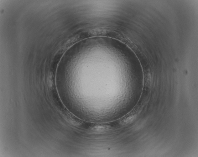 X0000074260323200609081742