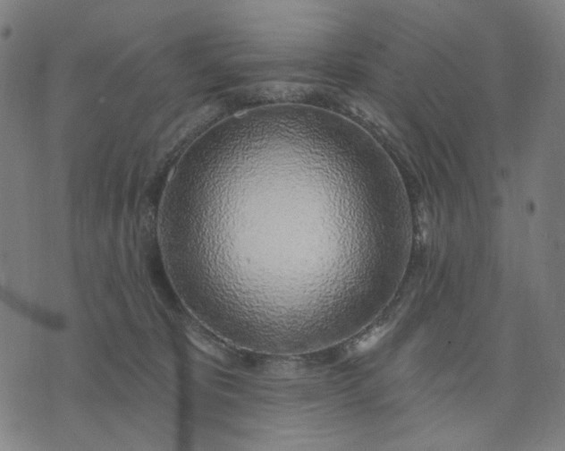 X0000074260325200609081742