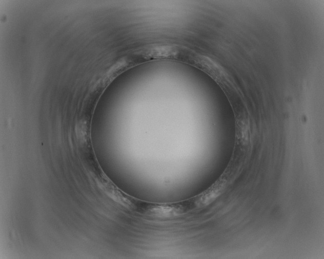 X0000074260326200609081742