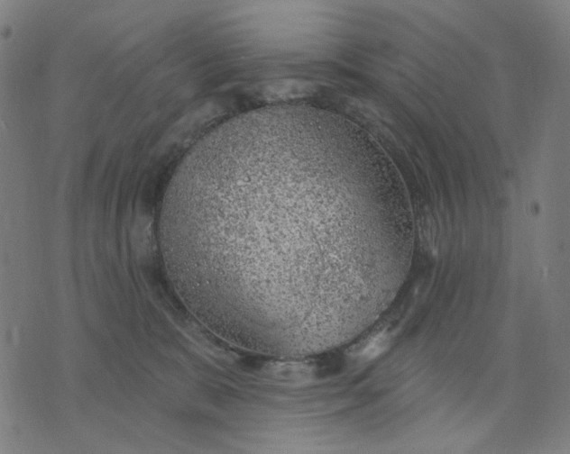 X0000074260327200609081742