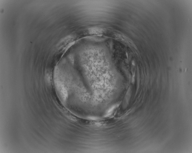 X0000074260329200609081742